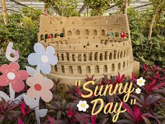 -南宫五洲植物乐园