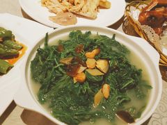 上汤桑菜-风味酒家(商业大道店)