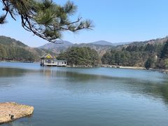 -庐山风景区花径公园