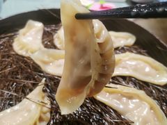 -松针蔡记蒸饺(花园路店)