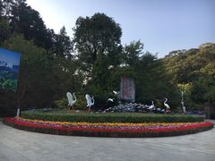 -广州白江湖森林公园