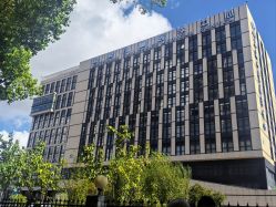 -上海交通大学医学院附属上海儿童医学中心(陆家嘴总院区)