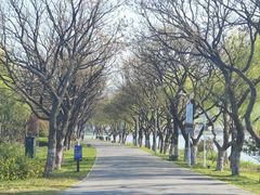 -石湖景区