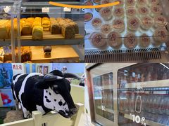 -红星前进面包牛奶公司(君太店)