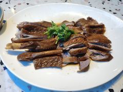 -MR鹅外