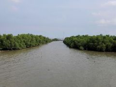 android_upload_pic-海鸥岛