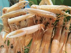 -極上萬膳·日料放题(来福士江景店)