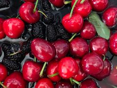 -重振华中蔬菜批发市场(重庆中路店)