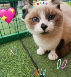 -萌宠亲子动物乐园(槐房万达店)