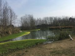 -桤木河湿地公园