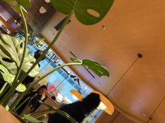 -新太二·鲜料川菜(花都融创茂店)