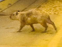 -郑州银基黄帝宫御温泉