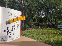 -大兴滨河森林公园