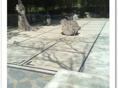 -紫竹院公园冰场