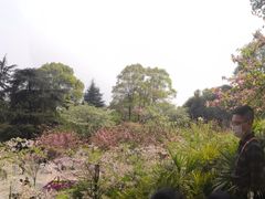 -南山植物园