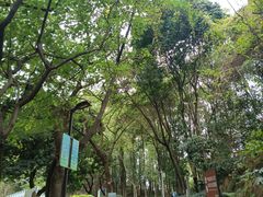-南岗山公园