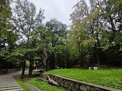 -阳台山自然风景区