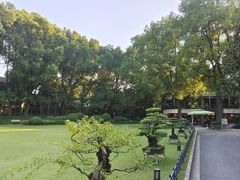 -申粤轩酒楼·三十年粤菜经典(丁香花园店)