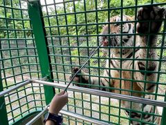 -深圳野生动物园