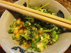 -星鸿社重庆老火锅(燃灯寺分店)