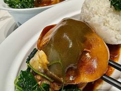 -新光酒家·河豚·海鲜·蟹料理(浦东店)