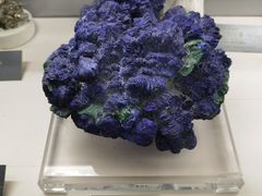 -中国地质博物馆