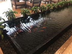 -天明山温泉大酒店