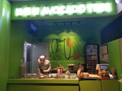 -油梨树AVOCADO TREE(顺义新国展店)