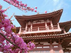 -西安青龙寺遗址景区