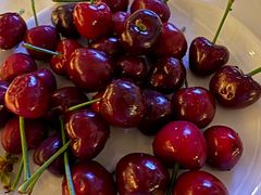 -傲泓度假酒店(河西奥体店)