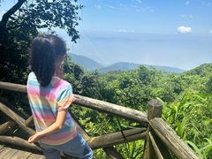 -武陵山森林公园