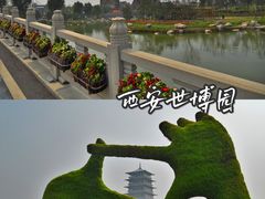 -西安世博园