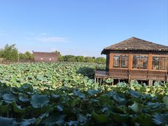 -军山湖云水间水上餐厅(进贤店)