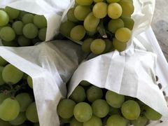 -马陆小张葡萄园农家乐