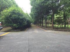 -安飞驰驾校·学车连锁(金高店)
