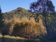 -五女山景区