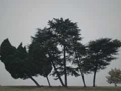 -钟山体育运动公园
