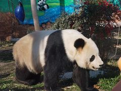 -苏州太湖国家湿地公园