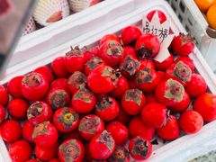 -南京工业大学-东苑1食堂