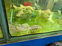 -聚鲜阁海鲜美食城(香水湾店)