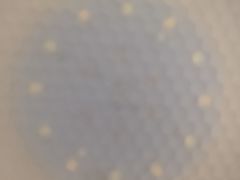 -鹤之乡·齐齐哈尔烤肉·非遗(秋涛路店)