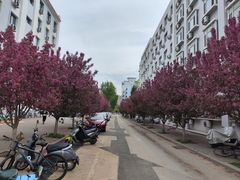 -东北大学(南湖校区)