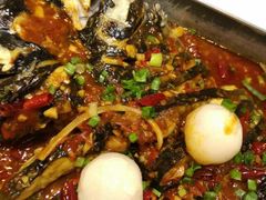 -鱼酷活鱼烤鱼(沈阳大悦城店)