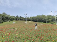-沈阳植物园