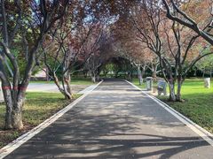 -石家庄市植物园
