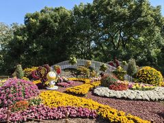 -上海共青森林公园