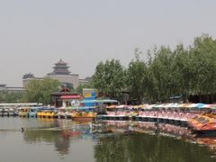 -莲花池公园