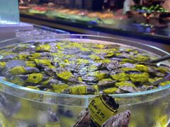 -聚盛源蒸汽海鲜火锅烤肉自助(巨川金海岸购物广场店)