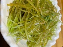 -新疆伏拉沃餐厅(白龙南路店)