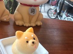 -柴犬高等学院·狗咖·柴犬售卖·宠物训练